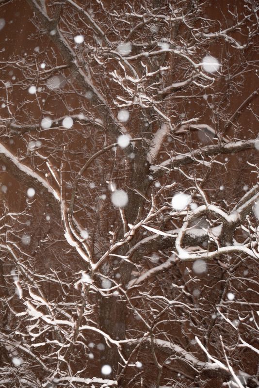 Exactly how my camera & lens captured the snow @ 5...