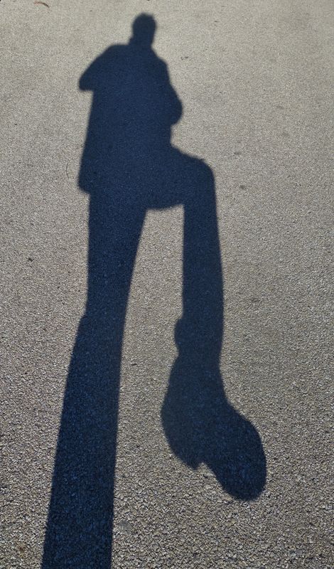 (!) My one time "Shadow Walk"!...