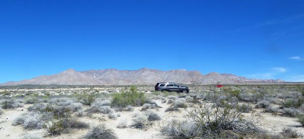 i loved the desert scenery.  we stopped so i could...