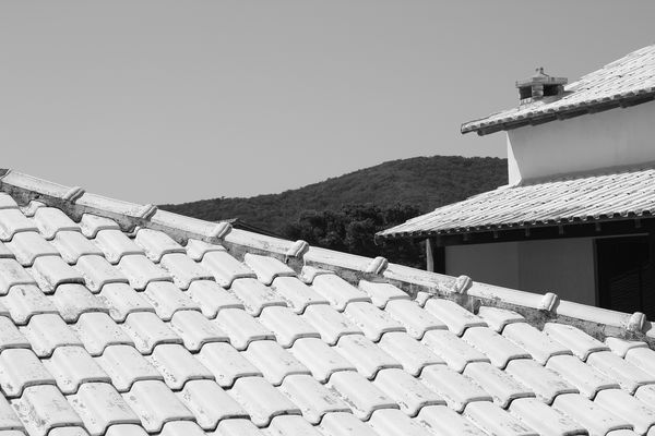 Rooftops, tree and hill....