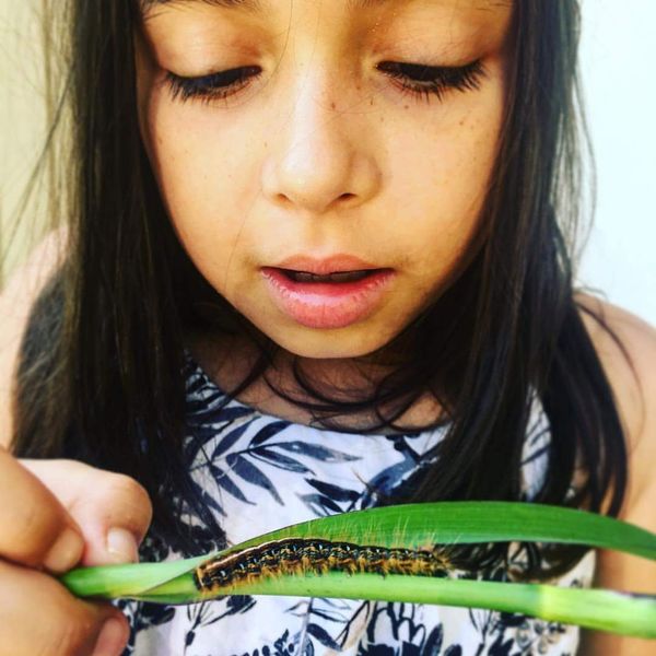 My Granddaughter checking out a hairy caterpillar....