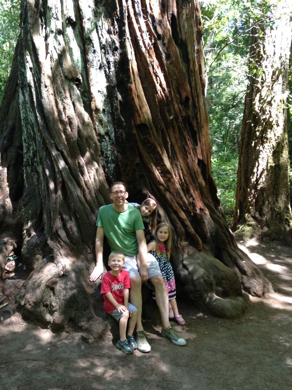 Loving the Redwoods, Ca. connection!...