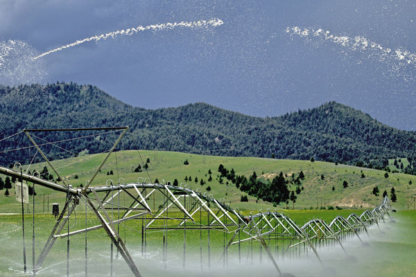 Irrigating a Montana pasture...