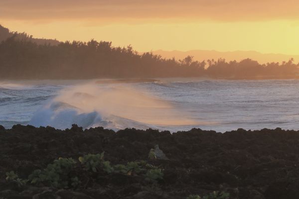 Golden Hour at Turtle Bay North Shore Oahu...