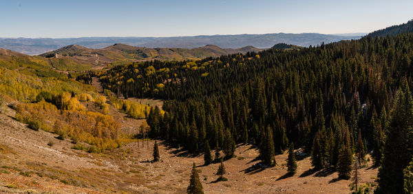 From the top of Guardsman Pass looking east...