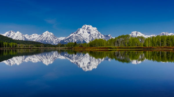 Mt Moran from Oxbow Bend...