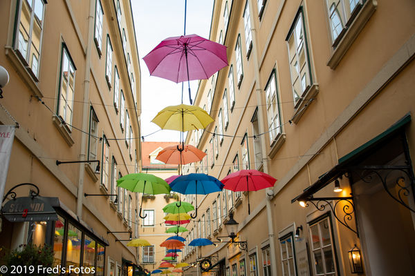 Walking Under Umbrella Canopy...