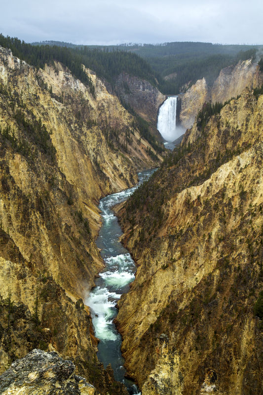 Lower Yellowstone Falls...