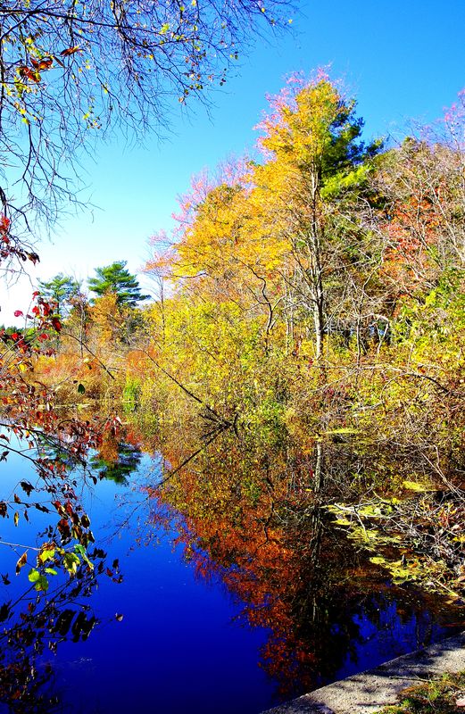 Stony Brook Wildlife Sanctuary: Taken on a mid-Fall afternoon at the ...