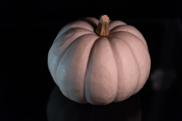 Some pumpkins are white -ish...