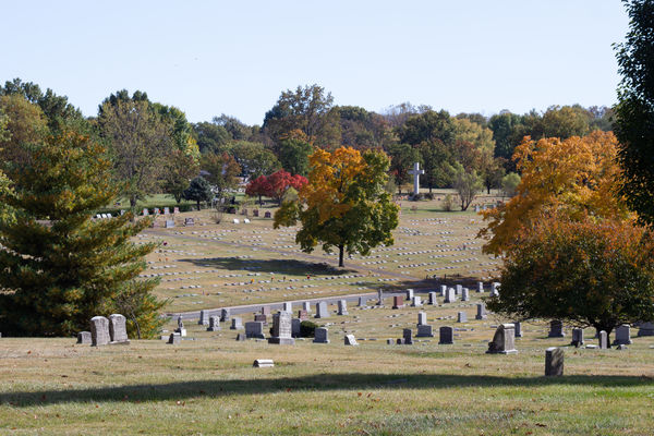 St. Mary Catholic Cemetery fall foliage...