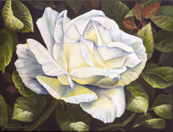 Untitled #3 - white rose study - 18"x24"...