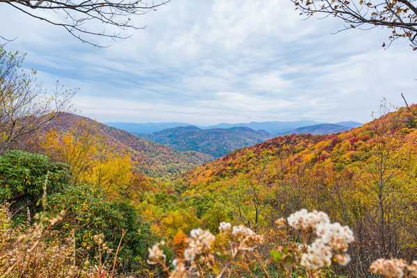 Chattahoochee Oconee National Forest GA   T1 736417 0h2a9243 