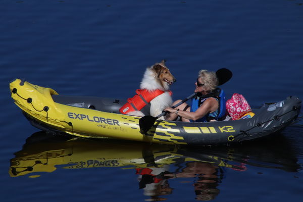 Lady in kayak w/dog...