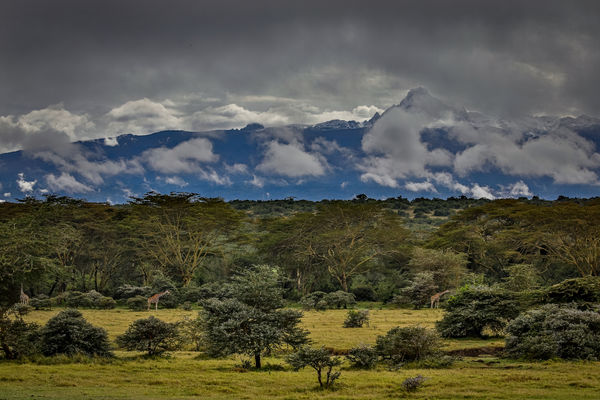 Mt Kenya...