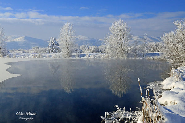 Winter beauty...