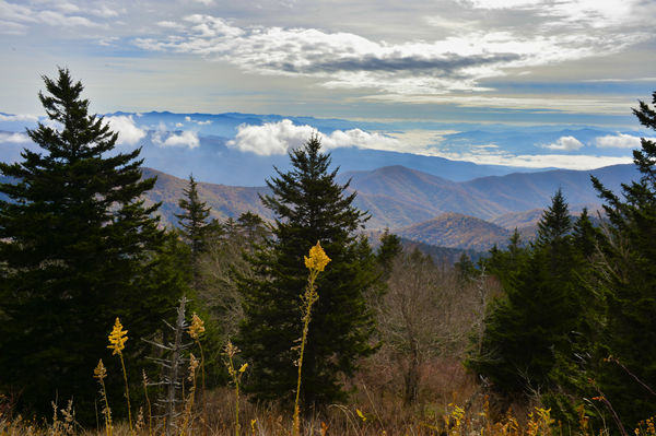 View from Clingmans...