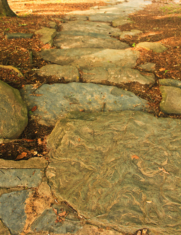 A Stone Path...