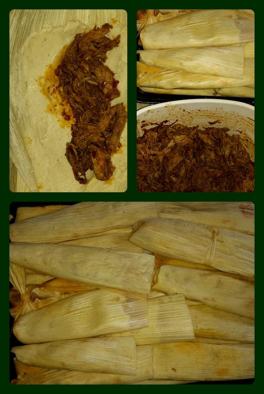 Collage of Tamales...