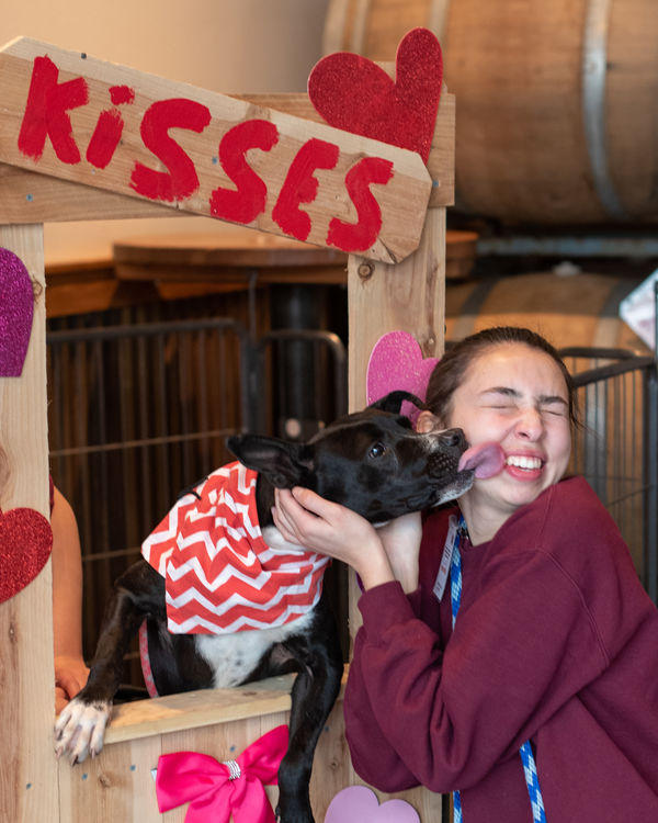 Delilah has slobbery kisses, and is still hoping f...
