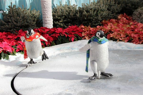 penguins  ice skating lol...
