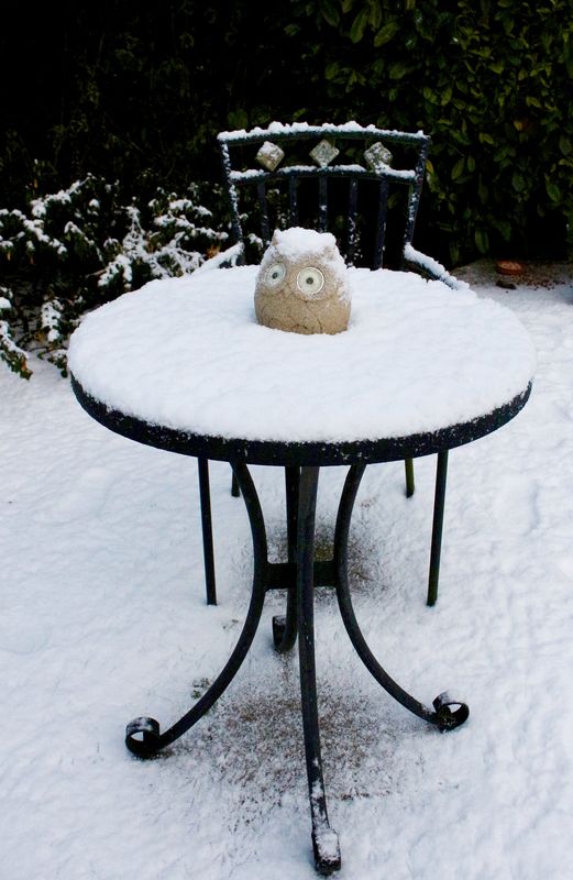 Help, I’m frozen to the table!...