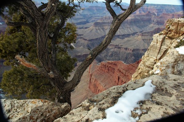 The snow in the bottom of the canyon had melted...