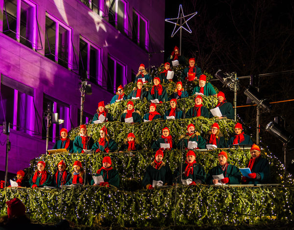 5373 - The singing Christmas Tree - this group hai...