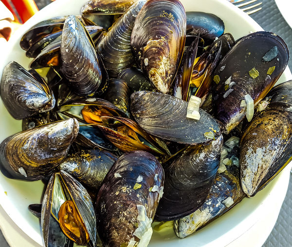 1217 - Lunch time with Moules Marinières - mussels...
