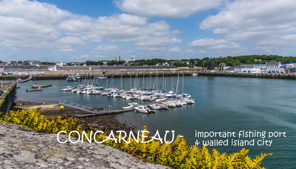 2588 - Concarneau - Harbor seen from the top of th...