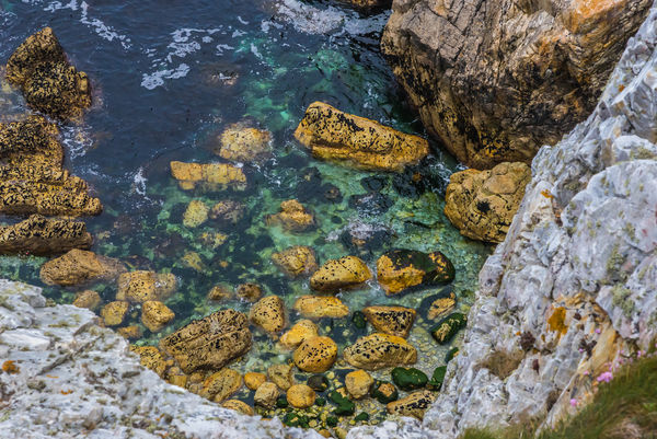 2718 - Amber-colored boulders in the clear waters ...