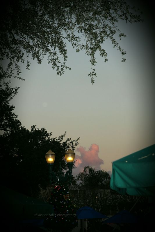 Mickey Mouse shaped cloud over Disney World....