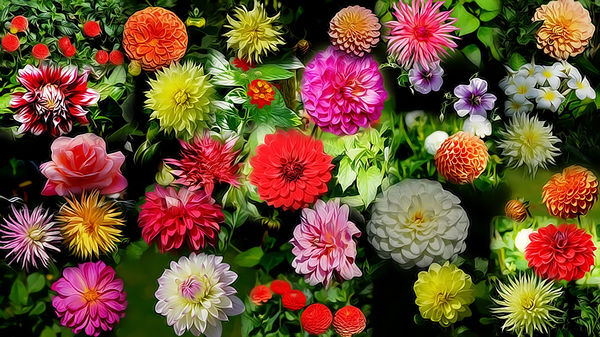 A Collage of flowers using theTopaz Clean effect...