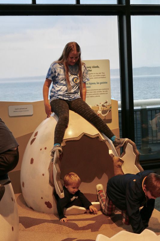 Entrance into a turn's egg! Ca. sea museum...