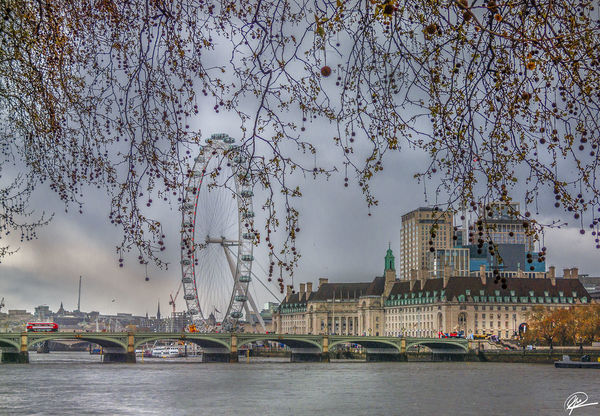 The London Eye and Westminster Bridge on the River...