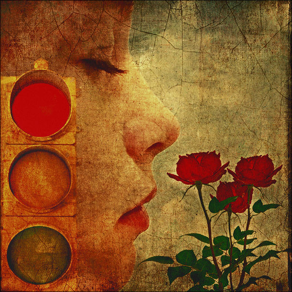 Smell The Roses, IPhone Photoshop Mix, Distressed ...