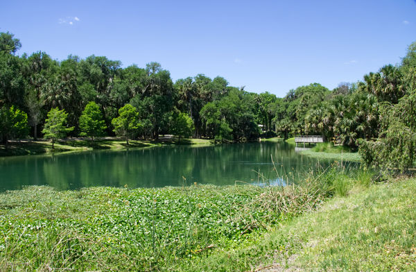 Gemini Springs Park in DeBary, FL...