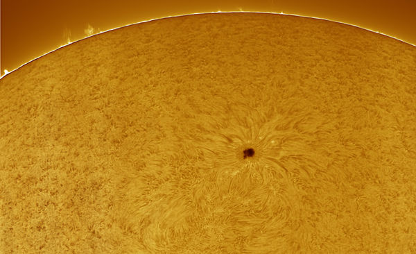 Surface and Active Sunspot That Has Already Disapp...