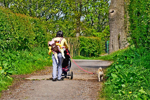 3 This young mum was walking the dog,carrying a ba...