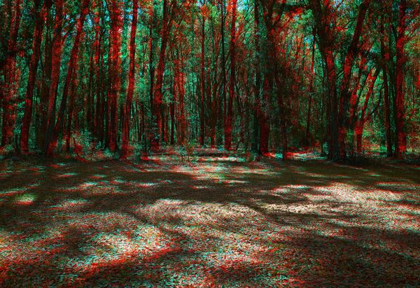Anaglyph...