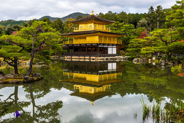 Zen Buddhist temple Kinkaku-ji aka the Golden Pavi...