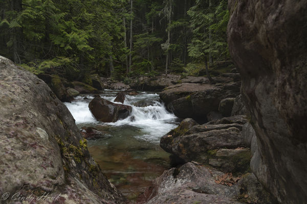 Avalanche creek before the gorge...