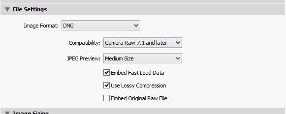 For large DNGs, check "Use lossy compression"....