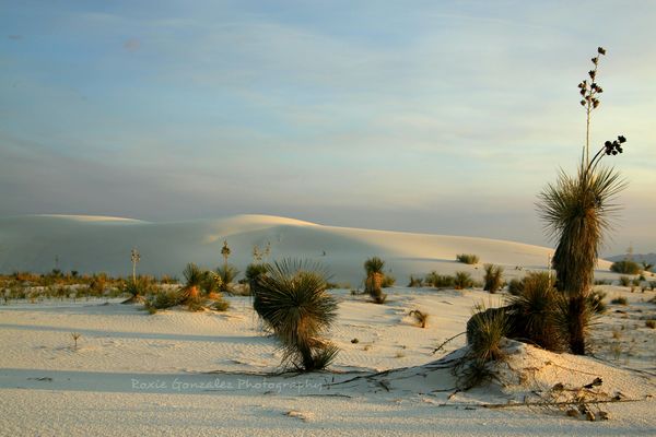 White Sands New Mexico near sundown...