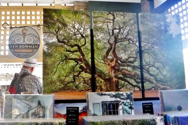 …. of that same Angel Oak on 3 large canvases…...
