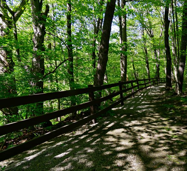 Discovered a new to me park Olmsted Falls East River Park...