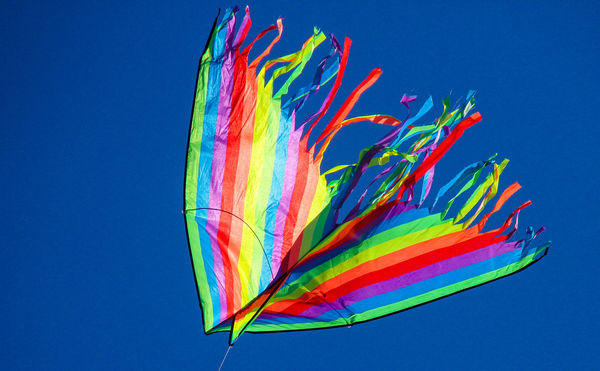 #3  A windy day, perfect for kites....