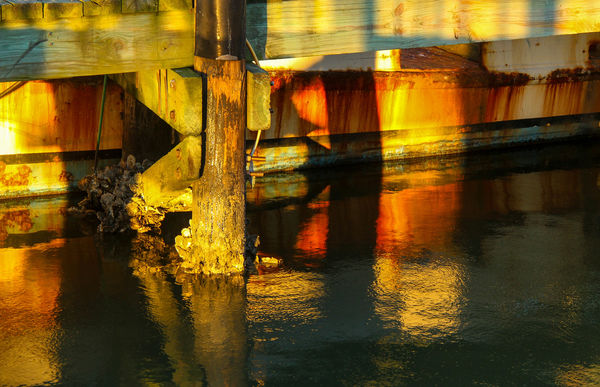 #9  Some golden hour color...