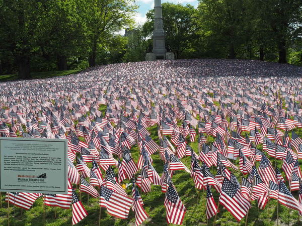 Flag Garden Memorial Day weekend...