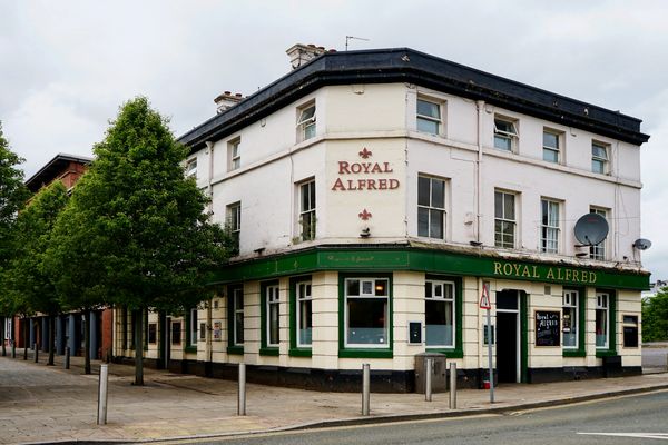 9 The Royal Alfred pub where you get a good pint a...